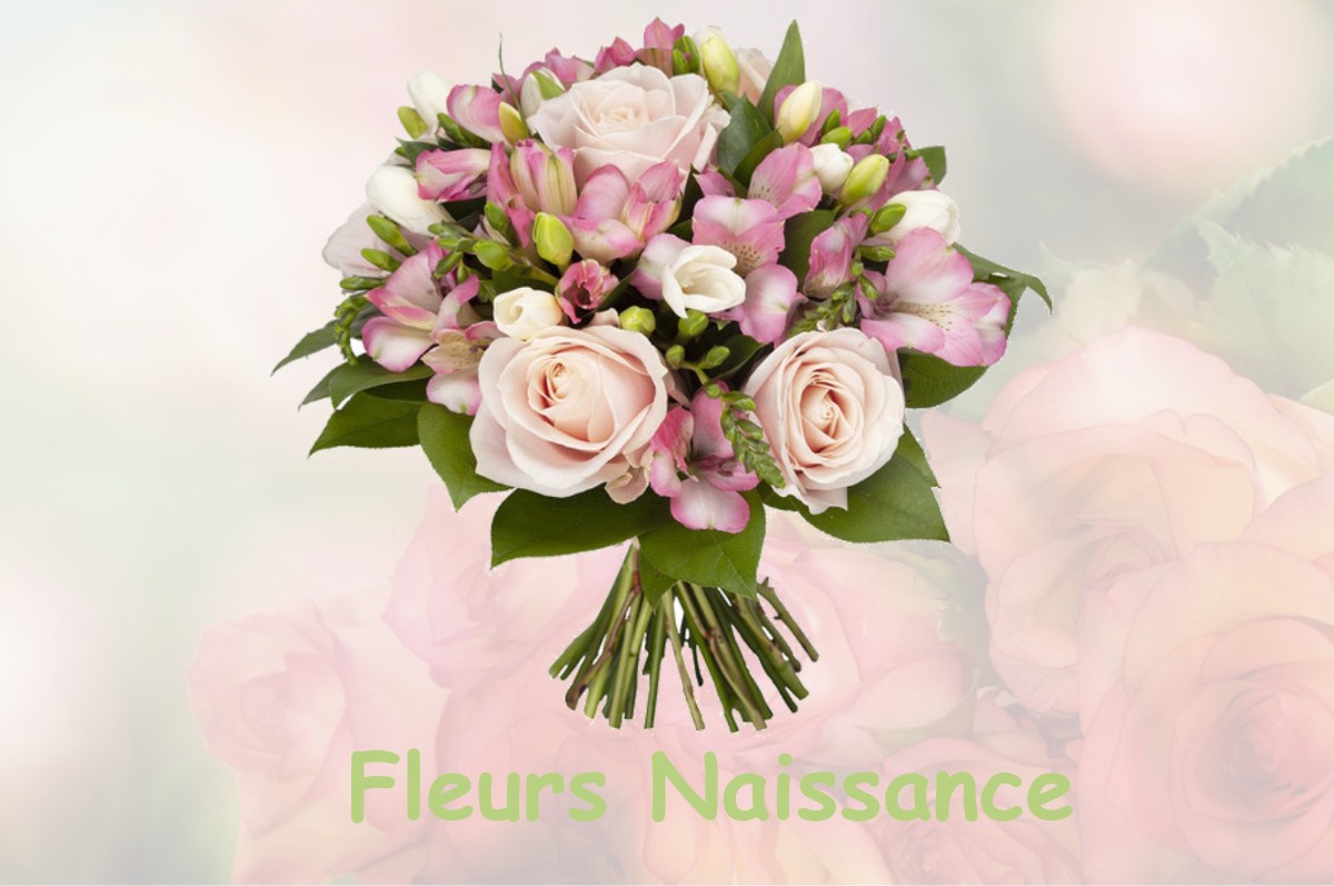 fleurs naissance NEVOY