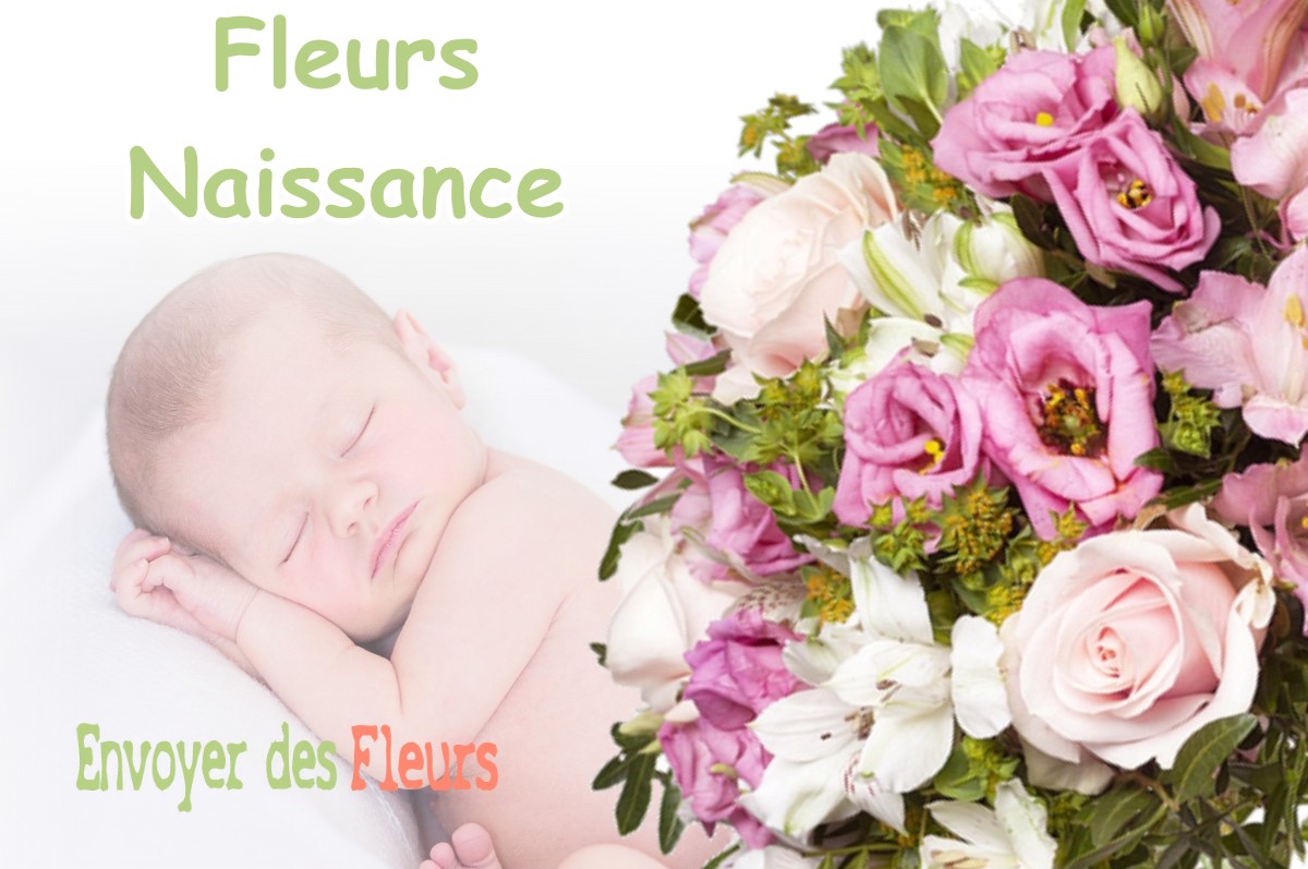 lIVRAISON FLEURS NAISSANCE à NEVOY